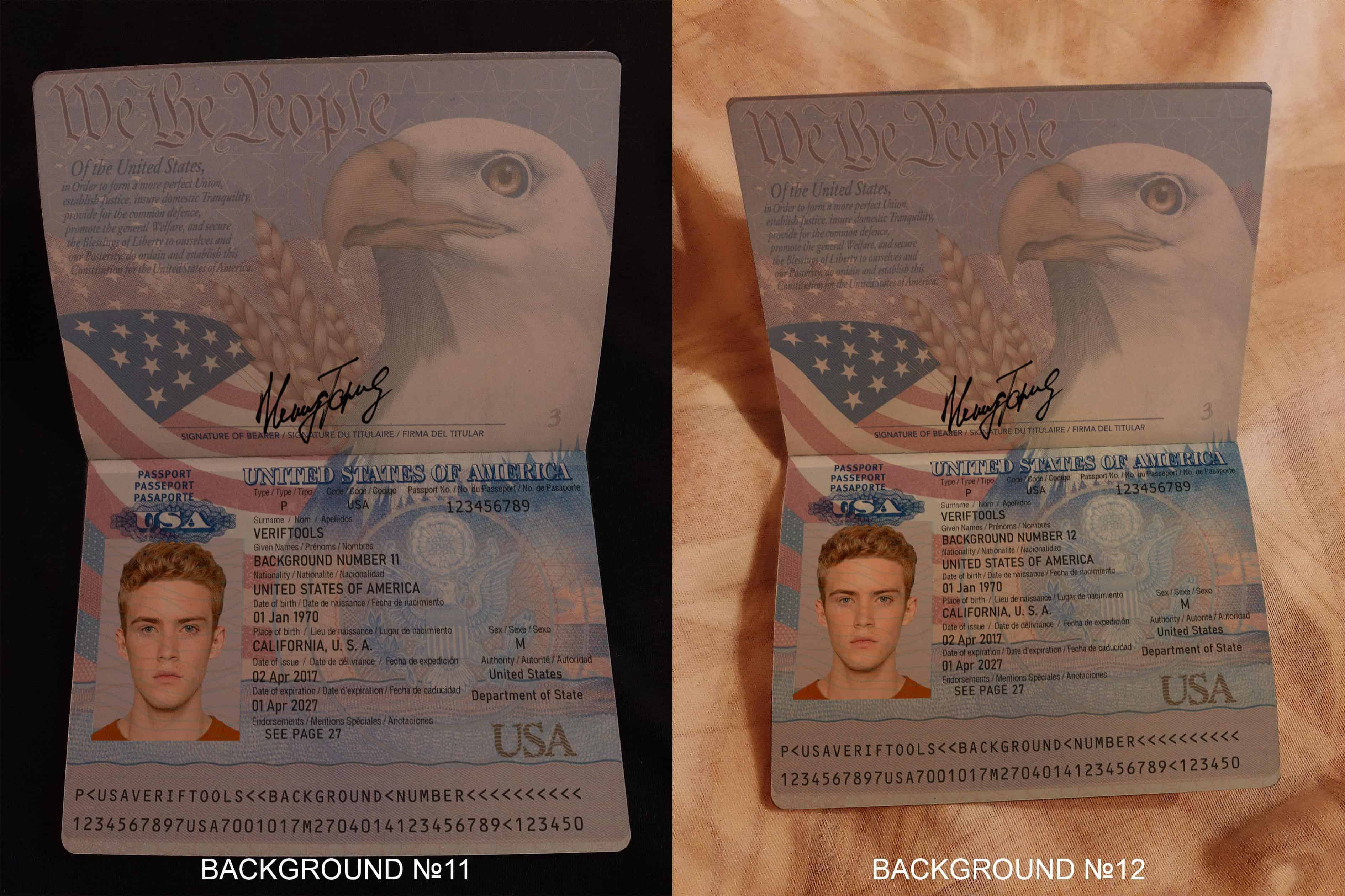 Passport backgrounds 11 and 12 Passport backgrounds 11 and 12