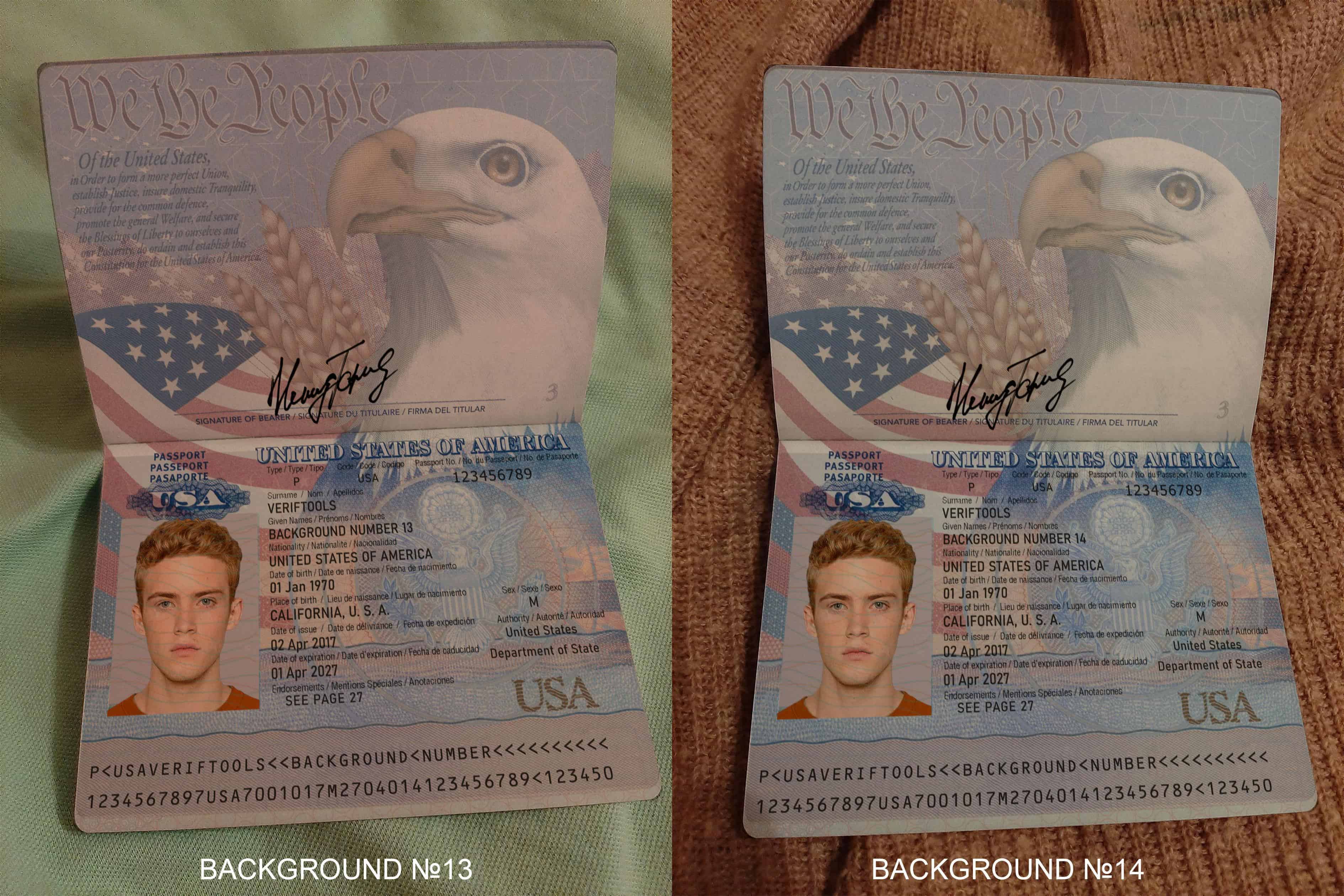 Passport backgrounds 13 and 14 Passport backgrounds 13 and 14